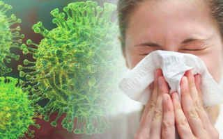 О гриппе и мерах его профилактики