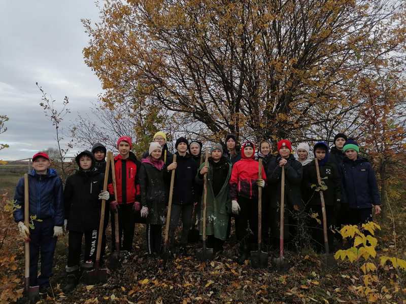 В рамках акция «Посади дерево и сохрани его»