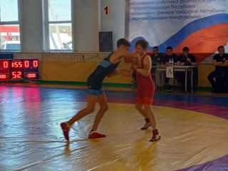 Всероссийские соревнования по вольной борьбе в с.Шихазаны