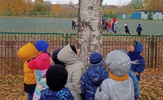 Экскурсия по осеннему участку.