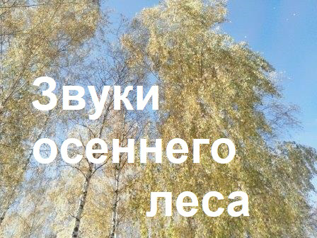 Урок любования осенней природой в лесу прошел для воспитанников Е.С. Кузнецовой 2а класса.