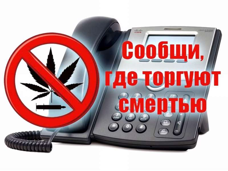 С 17 по 28 октября 2022 года проводится Всероссийская антинаркотическая акция «Сообщи, где торгуют смертью»