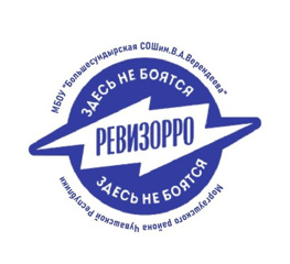 "Школьный ревизорро"