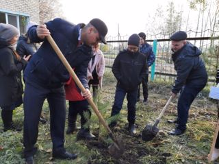 Акция «Дерево Памяти»