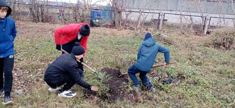 Республиканская акция "Дерево памяти"