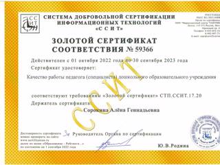sertif2022-sorokina-ag.jpg