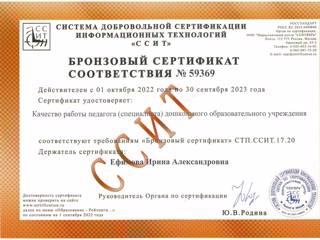 sertif2022efimova-ia.jpg