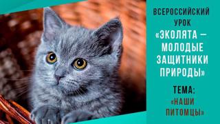 ВСЕРОССИЙСКИЙ УРОК «ЭКОЛЯТА – МОЛОДЫЕ ЗАЩИТНИКИ ПРИРОДЫ»