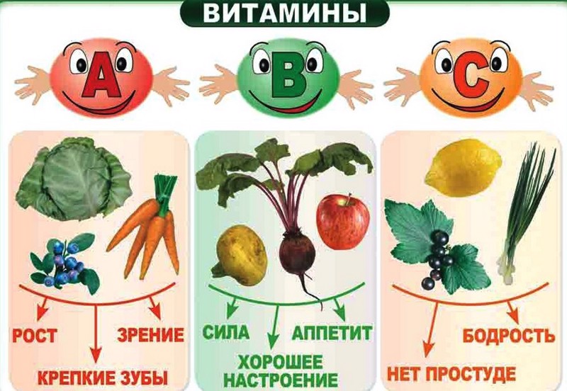 Тематический классный час в 4 «б» классе «Твой рацион – это ты!»