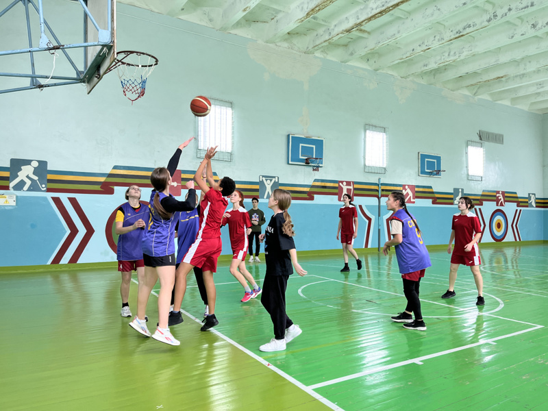 Школьная баскетбольная лига Московского района