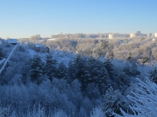 Свет и тень