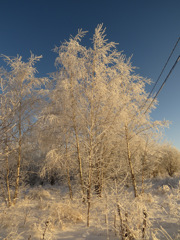 Белые одежды