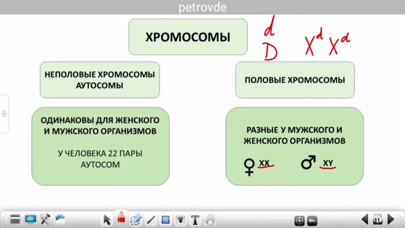 "Школьные субботы" по биологии