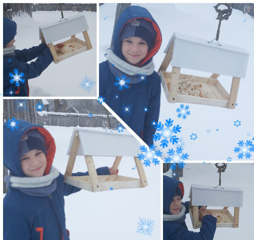 Учащиеся начальных классов МБОУ «Кирская СОШ» присоединились к акции «Покорми птиц зимой!