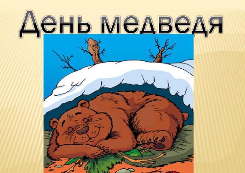 День медведя