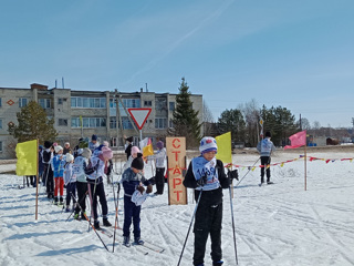 Чемпионат  школы по лыжному спорту