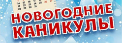 Новогодние каникулы