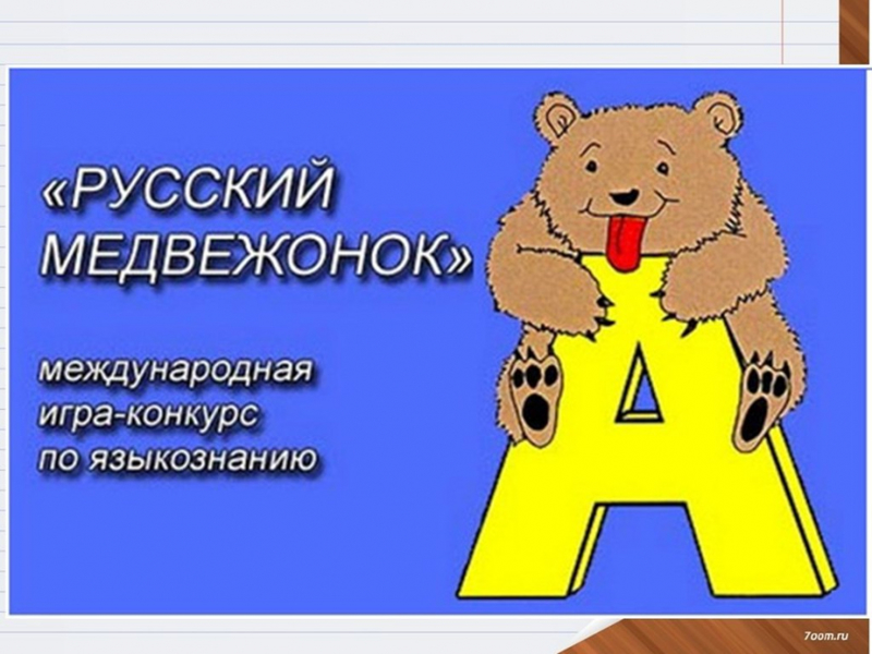 Сайт олимпиад медвежонок