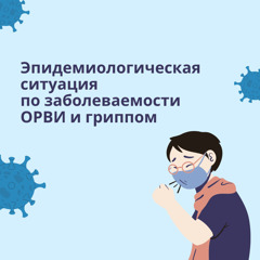 "Об эпидемиологической ситуации по ОРВИ, гриппу внебольничной пневмонии за период с 19.12.2022 по 25,12.2022"