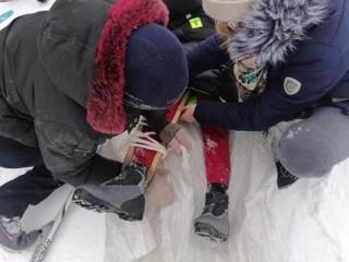 img-20220214-wa0115.jpg