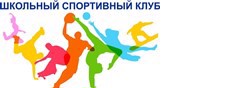 Школьный спортивный клуб "Сокол"