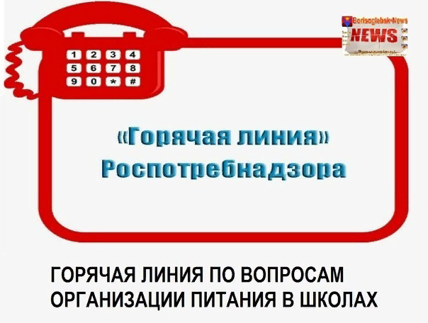 Управление Роспотребнадзора по Чувашской Республике - Чувашии проводит горячую линию по вопросам организации питания в школах