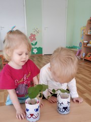 img_20220302_100040.jpg