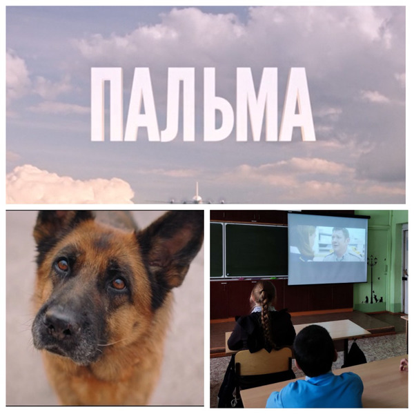 Просмотр фильма "Пальма"