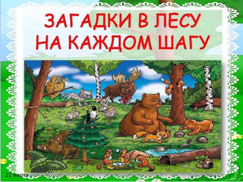 Экологическая игра «Загадки в лесу на каждом шагу»