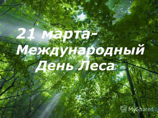 Сегодня, 21 марта - в Международный день леса- прошла Всероссийская викторина "Лесное путешествие"