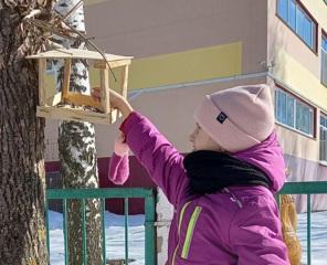 В нашей школе стало традицией помогать птицам весной