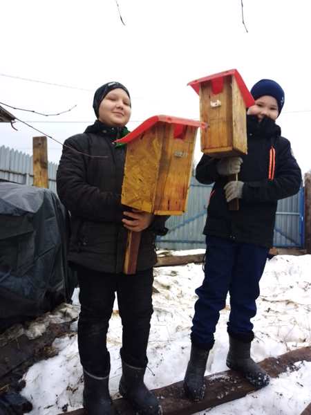 В школе проходит акция "Здравствуйте, птицы"