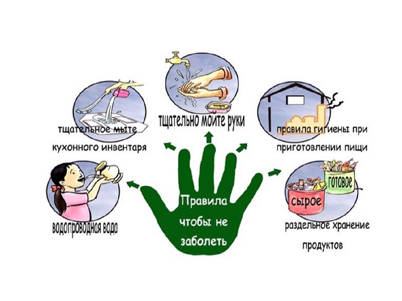 Профилактика кишечных инфекций и холеры