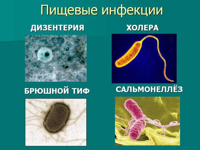 Профилактика кишечных инфекций и холеры.