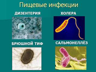 Профилактика кишечных инфекций и холеры.