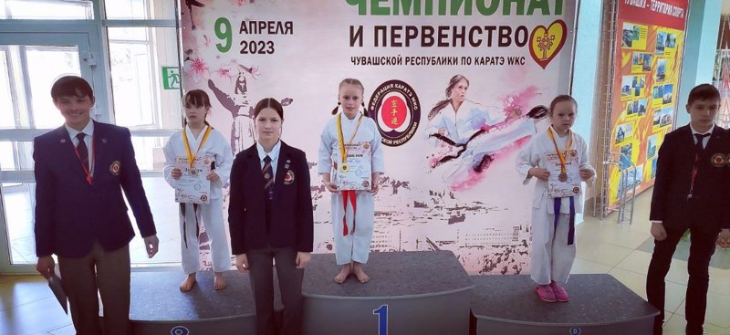 Чемпионат и Первенство Чувашской Республики по каратэ WCS