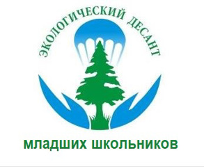 Экологический десант  младших школьников по уборке залежалых шишек на стадионе.