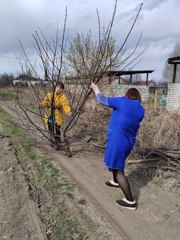 Всероссийский субботник