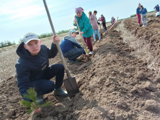 АКЦИЯ "ПОСАДИ ДЕРЕВО"