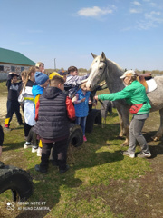 Маленькое путешествие на конезавод в село Порецкое.