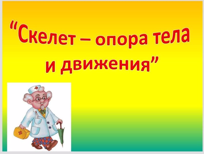 Внеурочное мероприятие на тему:  "Скелет-опора тела и движения"