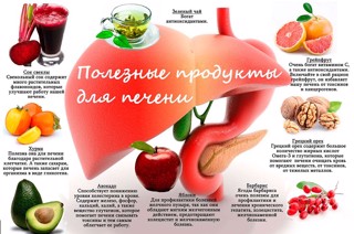 Продукты для здоровья печени. О профилактике кори