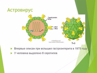 Астровирусная инфекция