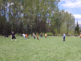 img_20230429_123025.jpg