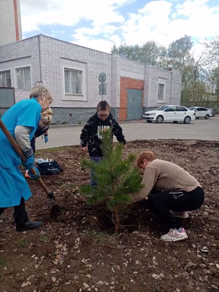 Благоустройство школы