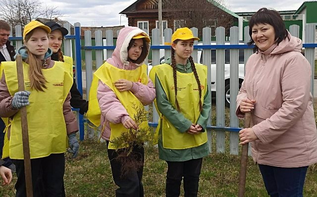 Волонтёры МБОУ "Шемуршинская СОШ" приняли участие в эколого- просветительском проекте "Семейный лес"