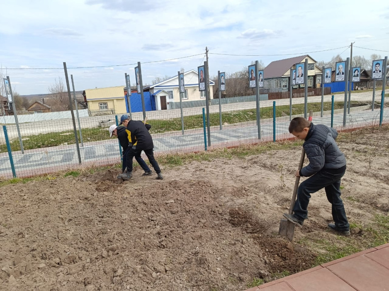 Акция «Цветочная клумба – украшение школьного двора»