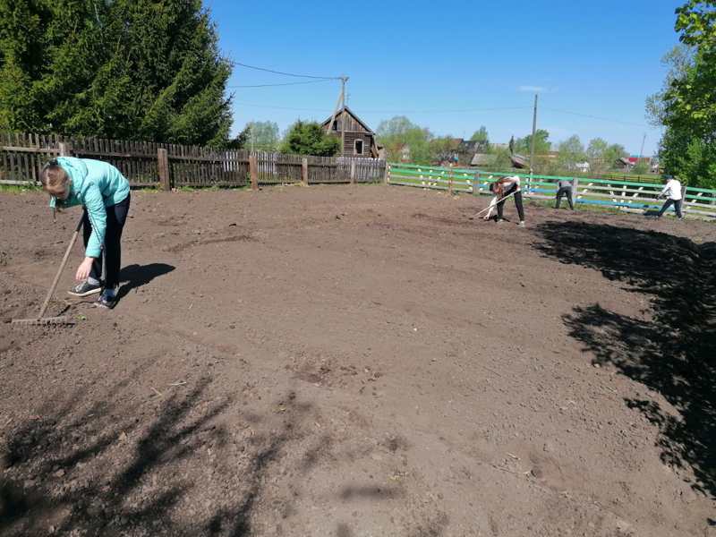 Работа на пришкольном участке