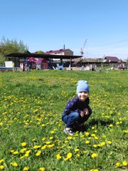 Всемирный День одуванчиков 