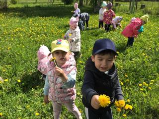 Всемирный День одуванчиков 